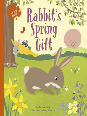 cover image of Rabbit's Spring Gift